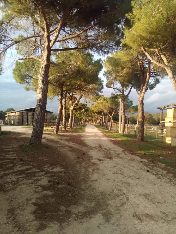 Biocampus La Roccaccia - Universita' Agraria Di Tarquinia Ngoại thất bức ảnh