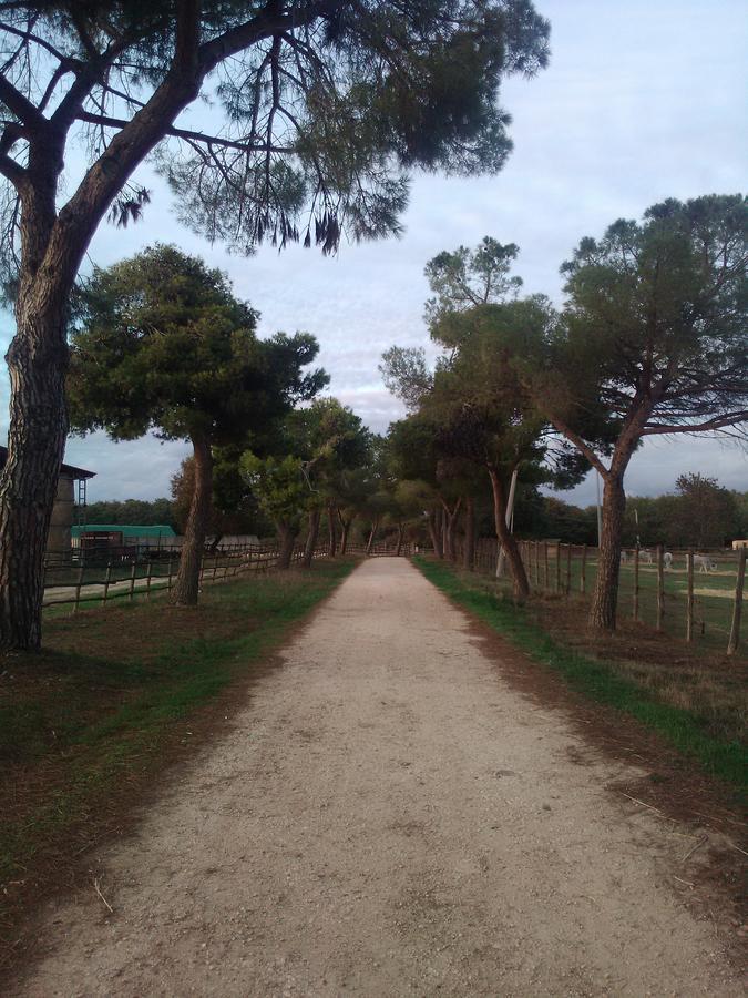 Biocampus La Roccaccia - Universita' Agraria Di Tarquinia Ngoại thất bức ảnh