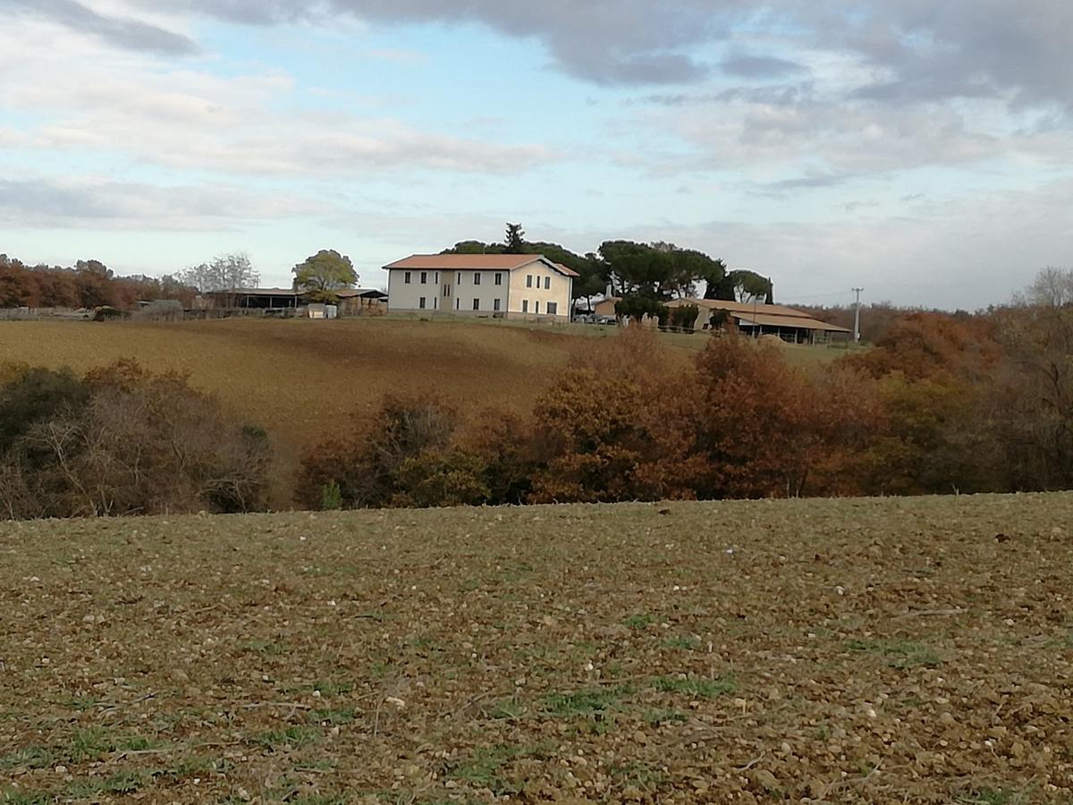 Biocampus La Roccaccia - Universita' Agraria Di Tarquinia Ngoại thất bức ảnh